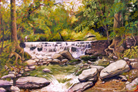 Buck Run Creek